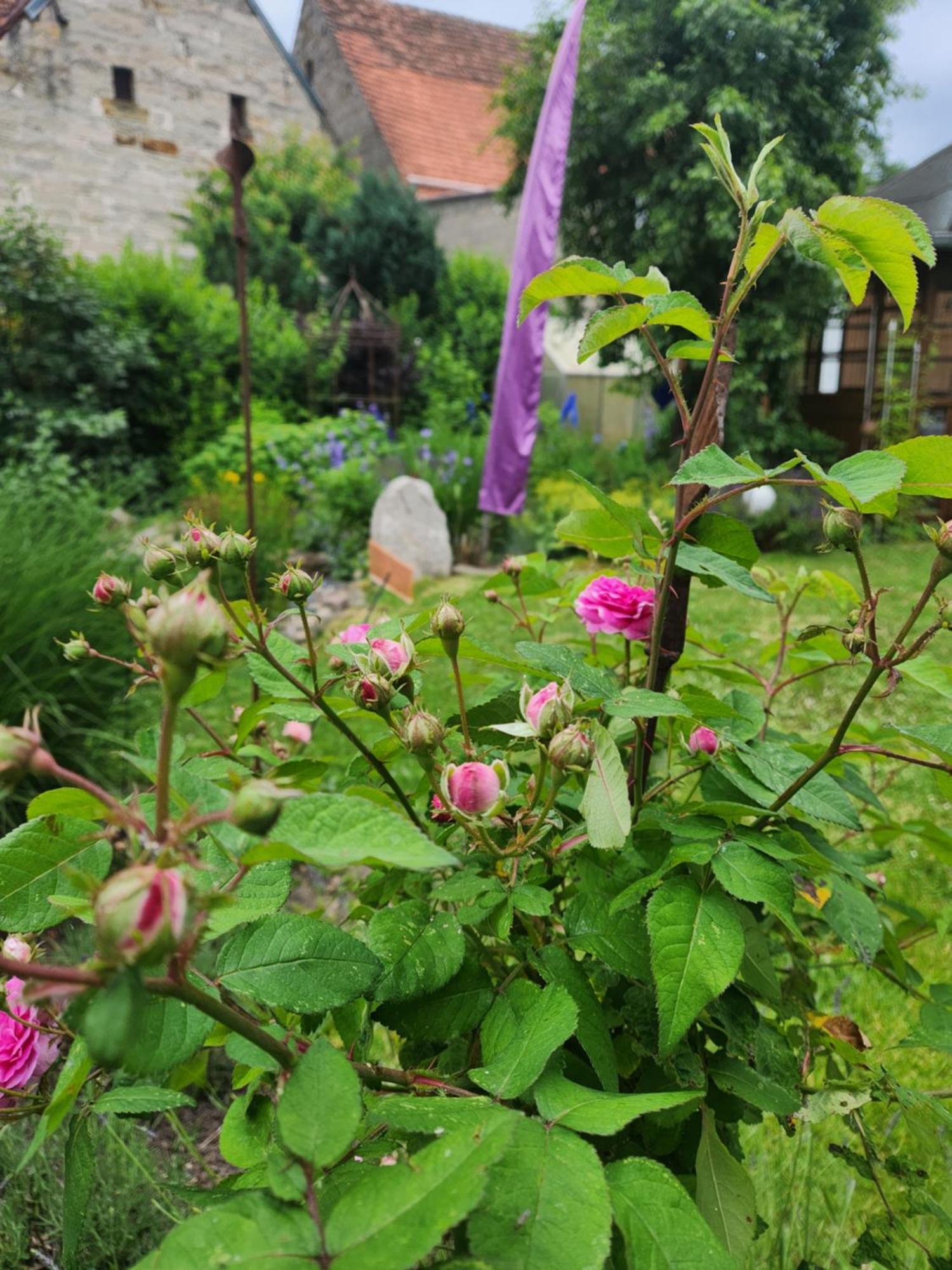 Familienfreundlich Im Naturpark Hassberge Mit Gehobener Gastronomie Apartment