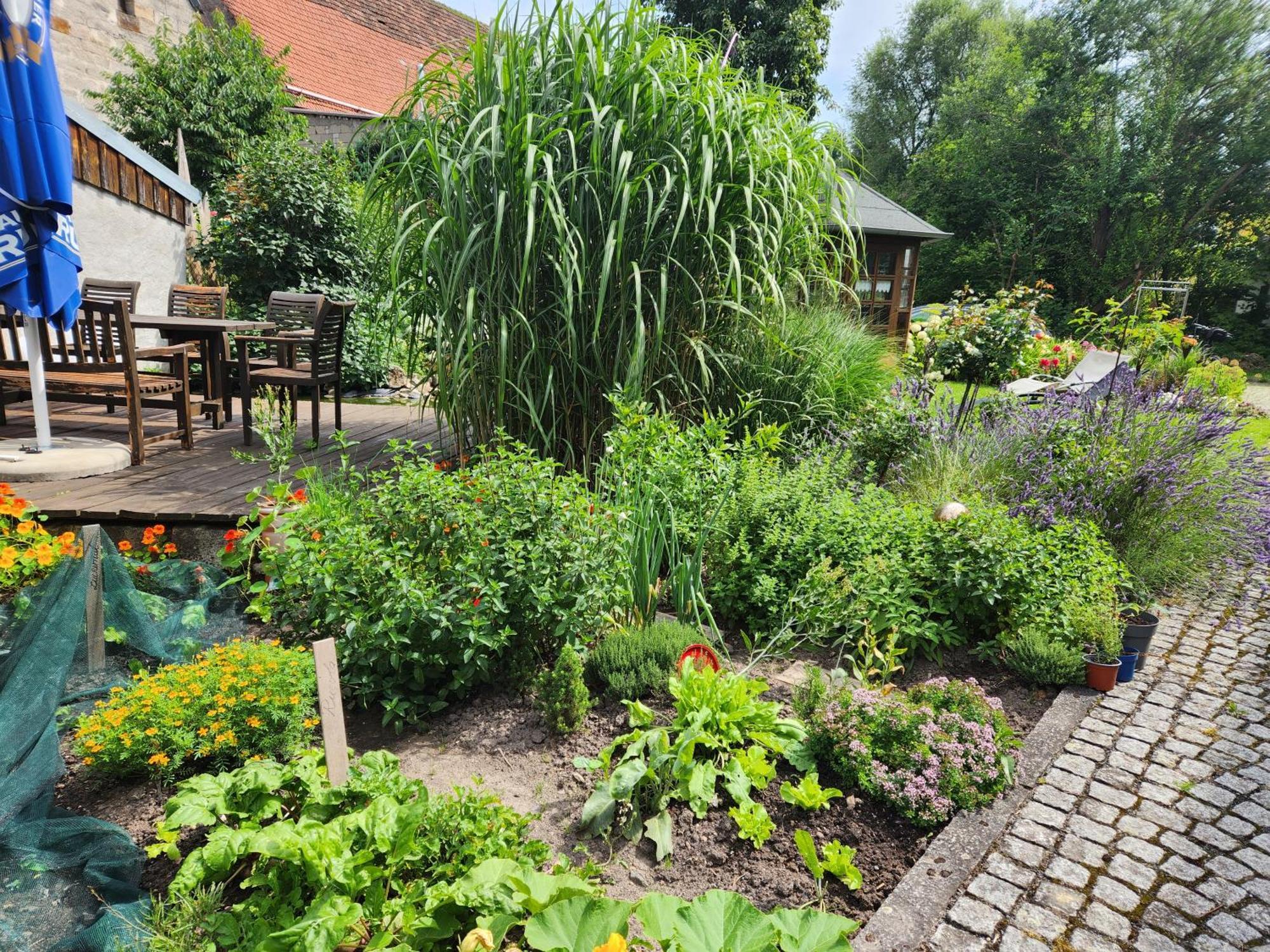 Familienfreundlich Im Naturpark Hassberge Mit Gehobener Gastronomie *